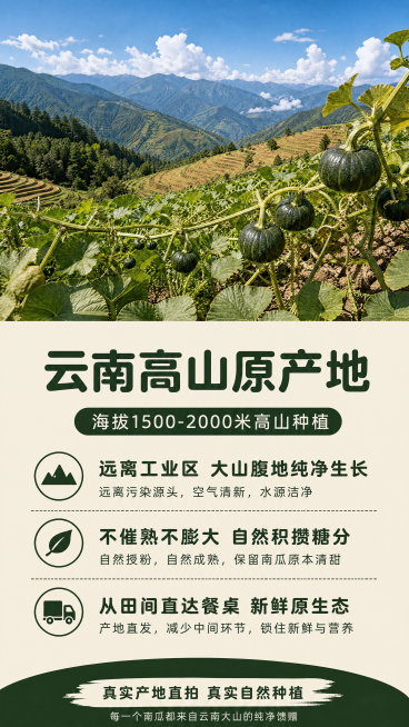 [第4屏] 云南高山产地展示，使用图10做风景主体，下半部分放卖点文字，浅米底色，深绿文字，9:16，突出自然种植优势，产品真实，大小不超3M。预览效果