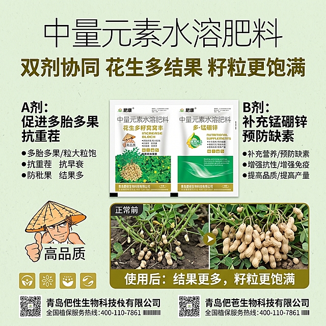 拼多多1:1正方形电商主图，突出产品核心功效卖点：A剂促进多胎多果抗重茬，B剂补充锰硼锌预防缺素，用对比方式展示使用前后花生结果更多籽粒更饱满，农业农资风格，清晰醒目，浅绿背景，主文案加粗：双剂协同 花生多结果 籽粒更饱满