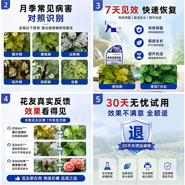 从原图中截取出标注为白粉病的第2张病害植物图，保留完整内容和原有样式