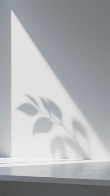 极简主义风格的白色背景，柔和的光线从左上角斜射而下，在浅灰色的墙面和白色的台面上投下飘逸的植物叶片投影，投影边缘模糊柔和，呈现出自然的光影层次感，整体画面干净、通透，营造出宁静、简约的氛围，保持投影风格样式。预览效果