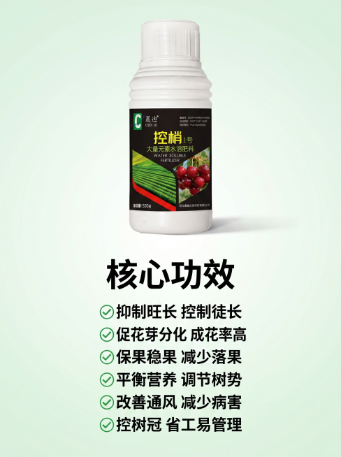 [主图 2] 控梢1号核心功效竖版主图，3:4比例。氛围风格：清晰直观抖音爆款农资风格。画质：商业摄影质感，产品清晰真实，画面干净高级。元素：控梢1号产品放置在画面上半部分居中，下半部分分条展示六大核预览效果