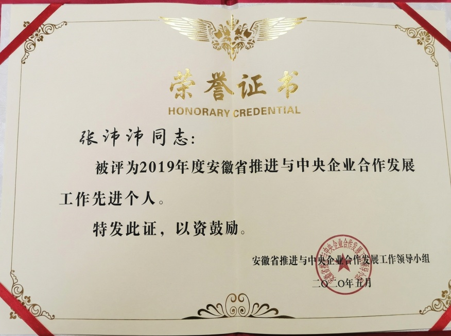 把这张图变成扫描版本，视角调整为平面，色条调整成正常奖状的颜色，整体调整成像正规扫描仪的扫描版本，而不是奇怪角度的拍摄。预览效果