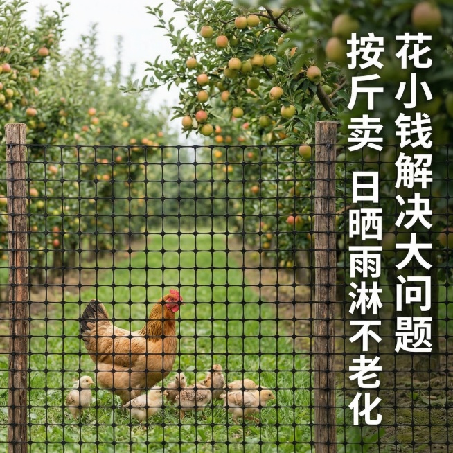 一张电商主图，前景是黑色塑料围栏网，围栏网高2米，网孔37厘米，用木棍立柱支撑，保持原产品网格结构不变，保持主体物理结构不变。背景是硕果累累的果园，一只母鸡带着小鸡在围网内觅食，网子位于画面前景位置。预览效果