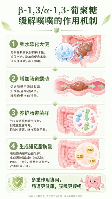 [第4屏] 作用机制讲解页，图解缓解排便不畅的工作原理，参考【图6】信息结构。
[氛围/风格] 专业科普风，柔和清新配色，易懂直观
[元素布局] 顶部主标题，下方分四个步骤依次展示，每个步骤配卡通示意预览效果