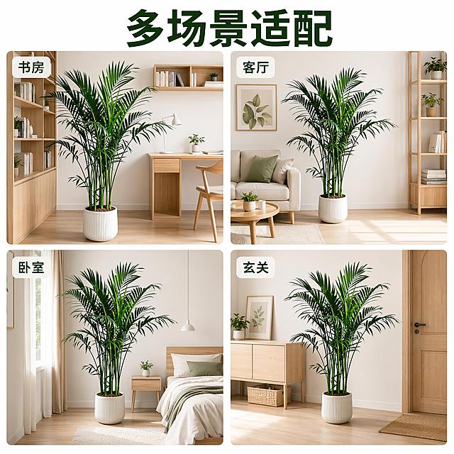 [主图-4] 富贵椰子不同空间适配展示。采用画中画版式，分四个小区域分别展示富贵椰子摆放在书房、客厅、卧室、玄关四个场景，每个场景保持产品本身外观一致，展示其百搭属性。保持富贵椰子外观与原图一致，每个区域产品大小适配场景。整体排版清晰，画中画每个区域都标注场景名称。氛围风格：统一北欧风，明亮干净，商业摄影质感。光影：每个场景都保持自然光照射，光影统一自然。配色：每个场景都采用浅色系家居搭配翠绿绿植，整体清新统一。视角构图：整体1:1版式，四个场景平均分屏，每个场景保留适当间距。文字版式：顶部主标题写“多场景适配”，绿色粗体大字，每个小场景角落标注对应场景名称，深绿色小字，清晰整齐。输出要求：1:1比例，文字清晰可辨，超高清商业摄影质感。负向提示词：变形，文字错乱，产品模糊，背景杂乱，水印，电商平台Logo