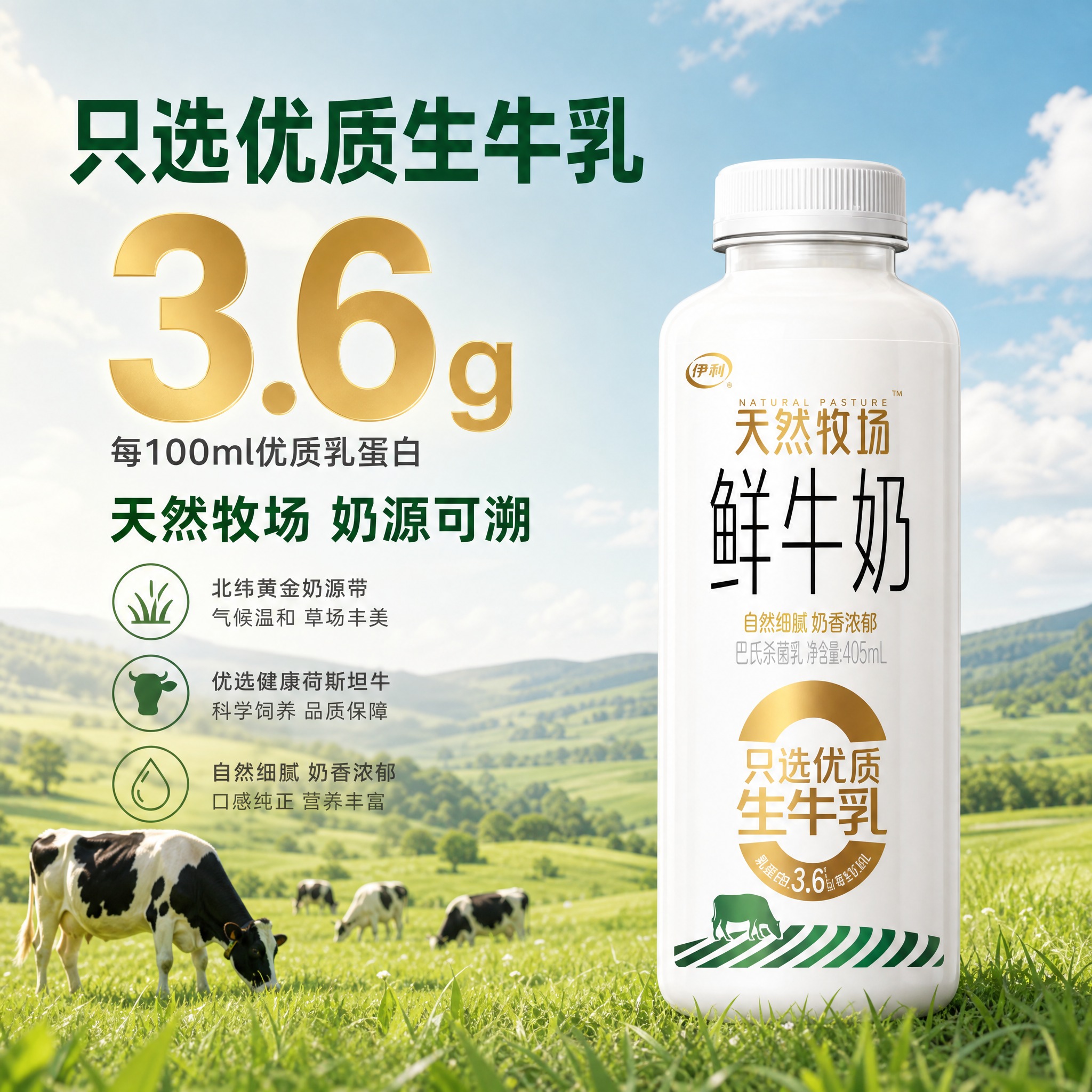 [主图-2] 伊利天然牧场鲜牛奶产地溯源图，展示优质奶源地与核… - 图片创意预览