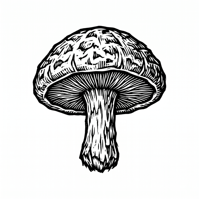 黑白木刻版画风格的单个香菇图形，纯黑白线条雕刻质感，画面主体居中，背景为纯白色，边缘清晰锐利，无多余元素，适合后续抠图使用，线条硬朗有版画肌理感预览效果