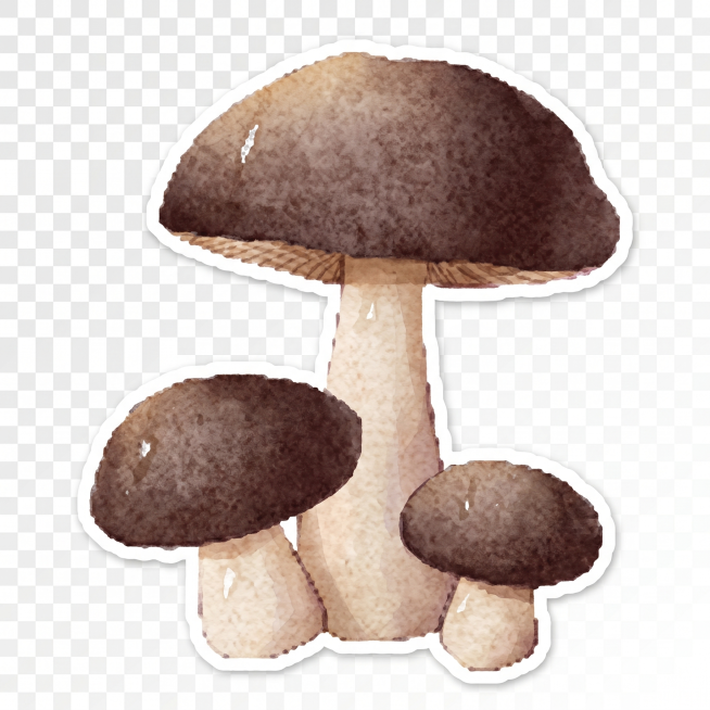 蘑菇贴纸，一个蘑菇立着，棕色系，非拟人化，水彩插画风格，透明背景，和参考图风格一致预览效果