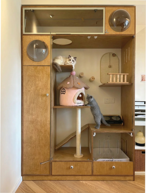 帮我在这张图上的猫架上添加两只不同品种猫咪（真实一点），猫咪不要太大，小一点，使猫架看起来比较大方美观，画面显得协调，看起来温馨一点预览效果