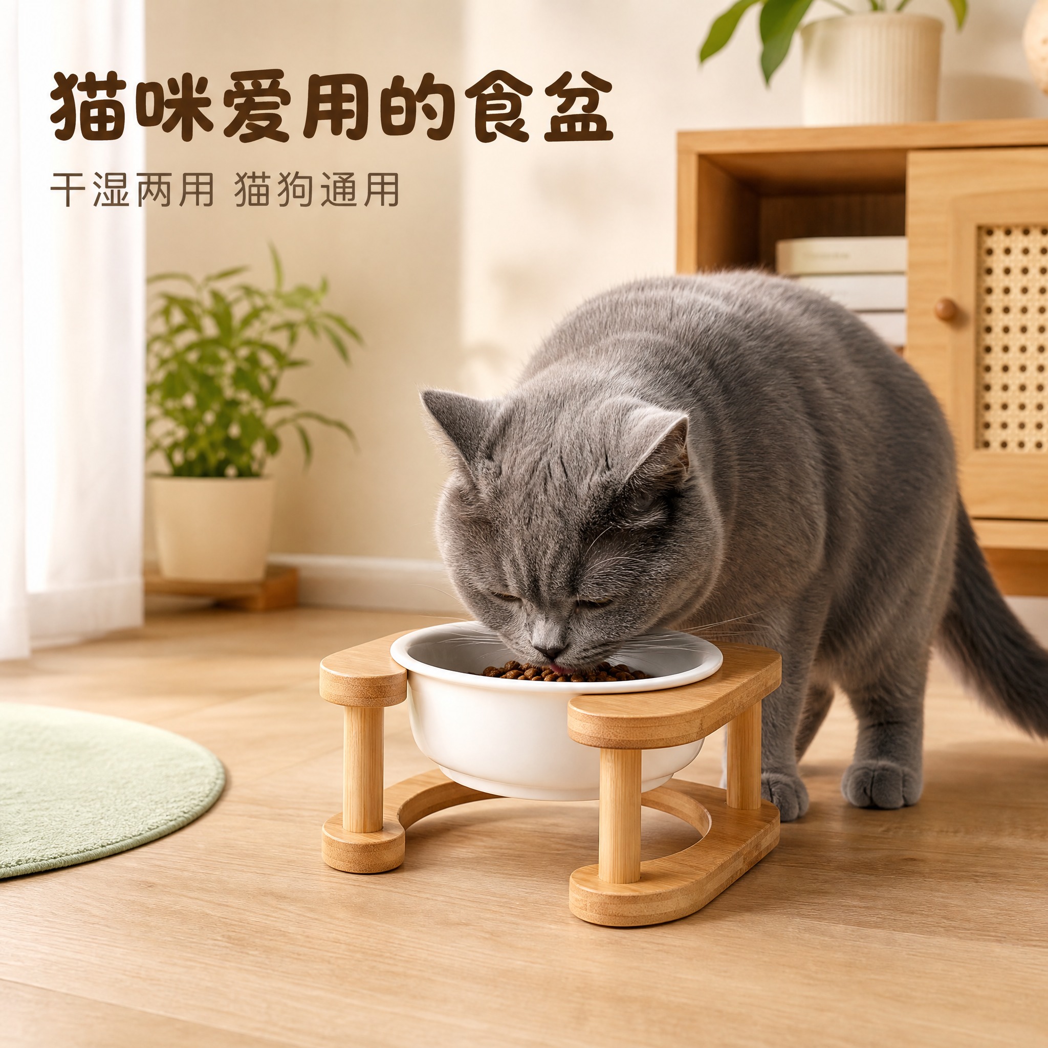 [主图-4] 场景使用图，展示猫咪在居家环境中使用宠物碗进食的… - 图片创意预览