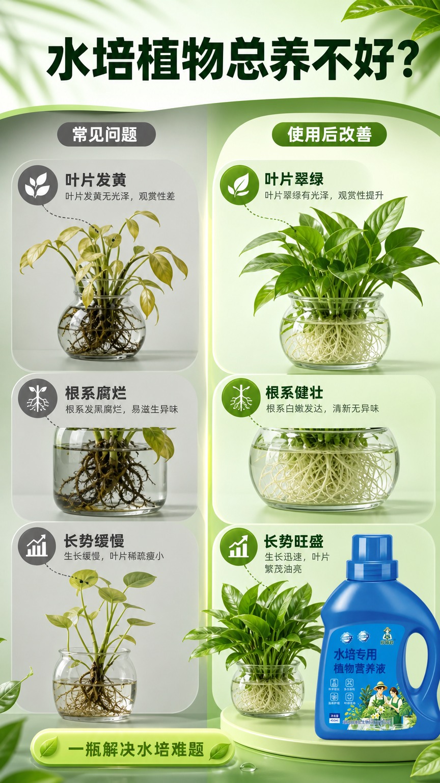 [商品] 使用【图1】欣福君水培专用植物营养液蓝色瓶装；保留瓶… - 图片创意预览