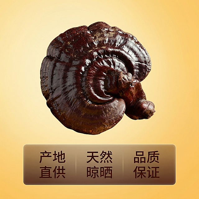 [主图 5] 服务承诺与品质保障展示
[氛围/风格] 干净稳重风格，打消购买顾虑。
[画面元素] 原图整朵紫灵芝放在画面中心偏上位置，保持完整外观，背景为简洁暖黄色渐变，底部留出空间放服务承诺文案，整体构图平衡，不拥挤。
[配色色系] 主色调：深棕紫灵芝，暖黄背景，深棕色文字。
[视角构图] 平视对称构图，主体突出，底部留白放文案。
[文字版式] 产品主体在上方，底部半透明渐变悬浮框放置三列服务亮点 "产地直供
天然晾晒
品质保证"，文字横排排列，深棕色字体，两端留空，不遮挡主体，清晰易读。
[比例分辨率] 1:1 比例，2k 分辨率。保持紫灵芝产品外观与原图完全一致。