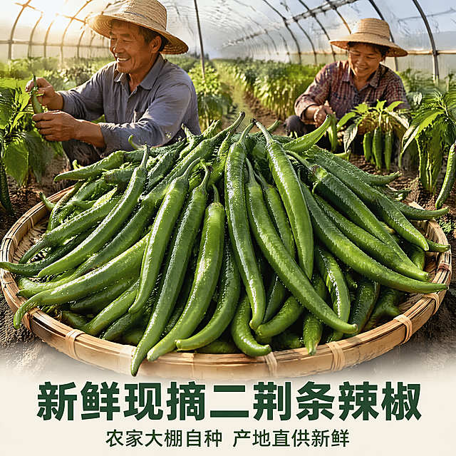 [主图-1 二荆条辣椒首图] 新鲜二荆条辣椒首图展示，清晨大棚采摘场景。画面主体是竹编簸箕里堆满带晨露的新鲜青绿色二荆条辣椒，背景是真实蔬菜大棚，清晨柔和自然光线下，农民伯伯汗流浃背开心笑着采摘辣椒。保持二荆条辣椒外观、物理结构、材质质感、颜色与输入产品图绝对一致，杜绝任何变形和色差，精细化处理。商品主体占比严格控制在70%左右，画面满屏无边框。清晨自然光从侧面照射，形成柔和逆光，突出辣椒表面透亮晨露，辣椒表面油亮光泽，绿色饱满有层次。主色调为鲜绿色，辅助色为竹编米黄色和土壤深褐色。俯视视角，景深适中，主体清晰背景虚化。画面下方负空间放文字，大字主文案写“新鲜现摘二荆条辣椒”，深绿色粗体最大号无衬线字。辅助小字写“农家大棚自种 产地直供新鲜”，绿色小一半字号。保持文字清晰不遮挡辣椒主体。1:1比例，4k分辨率，文字清晰可辨，超高清。负向提示词：变形，水印，文字错乱，产品图模糊，背景杂乱。