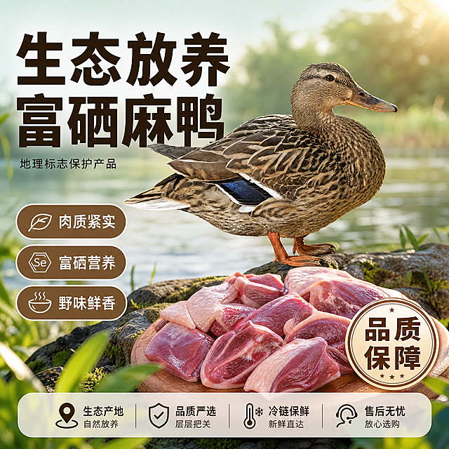 [单张主图] 生态放养麻鸭，爆款促销感主图，同时承担点击、理解、信任、转化四个任务，突出生鲜鸭肉的品质感。
[画面主体] 原生态麻鸭主体斜向居中摆放，占画面约60%，保持鸭子外形、羽毛颜色、纹理与输入图片保持绝对一致，杜绝任何变形和色差，精细化处理羽毛细节。在鸭子下方搭配新鲜的鸭肉切块展示，突出肉质纹理和新鲜度，增强食欲感。
[构图版式] 采用左文右品标签参数型版式，左侧35%区域放置主标题和核心卖点，右侧鸭子主体自然站立在场景中，左下角用三个卖点胶囊分区排列核心卖点。
[场景元素] 背景融入生态水域产地虚化场景，呈现自然清新的放养环境，浅青绿色渐变背景干净通透，增加信任背书，底部放置半透明品牌品质信息条。
[文案版式] 左上大字粗黑标题："生态放养 富硒麻鸭"，下方辅助小字：地理标志保护产品。左下三个卖点胶囊分别标注："肉质紧实""富硒营养""野味鲜香"，右下角圆形印章标注"品质保障"。所有文字清晰可读，不遮挡鸭子主体，字色与背景形成强烈对比，大字主文案最大且粗体，辅助文案缩小50%以上。
[光影质感] 采用自然暖阳逆光，突出鸭子羽毛纹理和鸭肉新鲜色泽，光线柔和通透，产品清晰真实，背景浅景深虚化，整体呈现天然生鲜的食欲感和高品质感，商业摄影质感，画面干净高级。
[配色字体] 主色调提取鸭子本身的棕褐羽毛配色，辅助色为浅青绿生态背景，强调色深棕色突出文字，字体采用粗黑无衬线字体，层级分明对比清晰。
[比例分辨率] 1:1 比例，4K分辨率，文字清晰可辨，画面超高清。
[负向提示词] 变形，水印，错字，糊字，伪Logo，主体遮挡，背景杂乱，低清晰度，错误结构，文字错乱