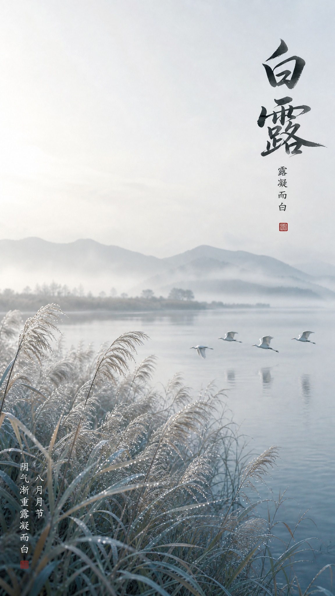 新中式二十四节气之白露海报，竖版9:16，实景摄影底图，大面积… - 图片创意预览