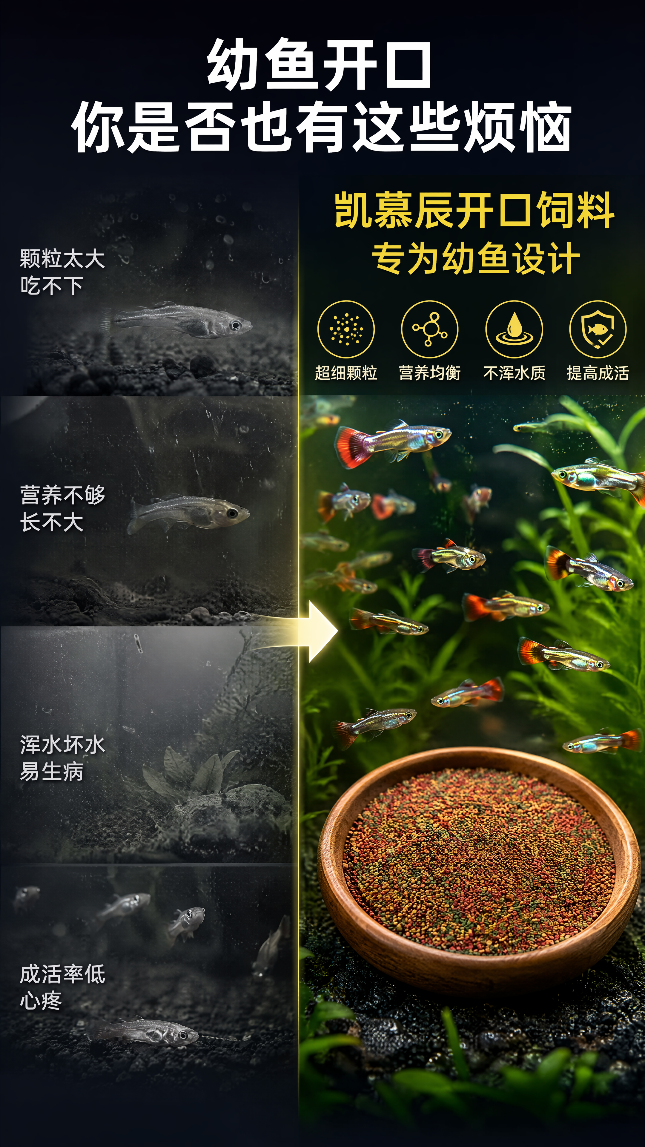 [第2屏] 详情页痛点直击-幼鱼开口难问题与解决方案。本屏使用… - 图片创意预览