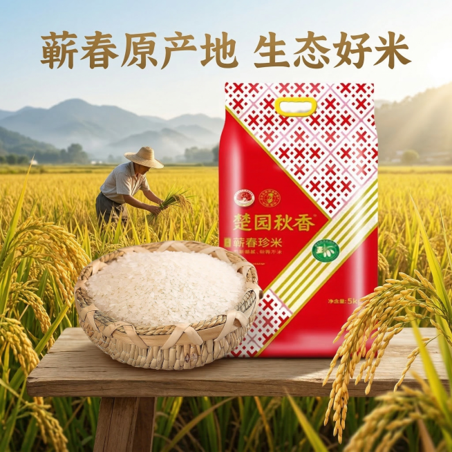 基于原图生成1:1淘宝主图，展现蕲春产地的稻田风光，成片金黄饱满的稻穗，远处朦胧的青山，阳光洒在稻田上，前景放置楚原秋香蕲春珍米包装袋，大文案“蕲春原产地 生态好米”，突出地域优势，自然清新农家风格，预览效果