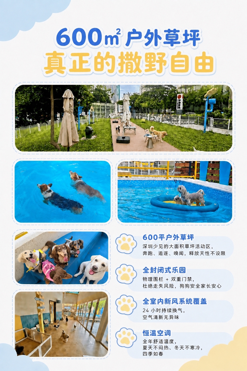 基于第二张600㎡户外草坪海报图，将海报中第三行左侧带有边牧的… - 图片创意预览