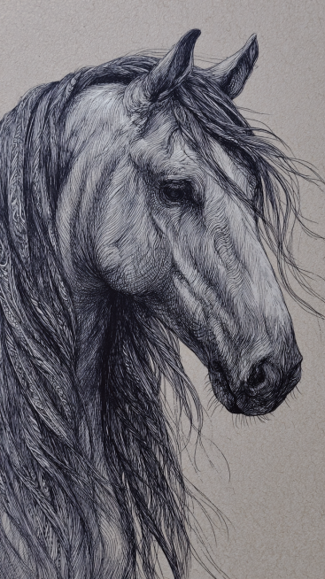 A well-built adult horse, with a clearly defined head, erect ears, bright and lively eyes, a long an预览效果