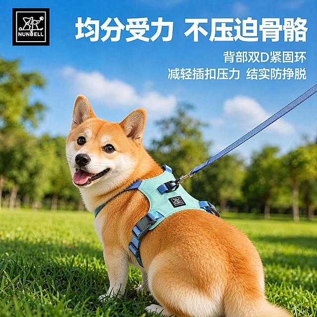 保持画面构图、文字、背景、胸背带产品完全不变，只将柯基犬替换为一只颜值更高、更可爱的狗狗。

替换要求：选择一只毛发蓬松柔顺、五官精致好看的中小型犬，例如高颜值的柴犬或柯基，毛色均匀有光泽，眼睛大而明亮有神，笑容甜美治愈，耳朵竖立有型，体型匀称健壮，毛发干净蓬松有质感，表情活泼开心，舌头粉嫩，整体颜值高、上镜好看。

狗狗姿态保持不变：身体侧对镜头、背部朝向观众，头部转向左前方看向镜头，开心微笑的表情，站在翠绿草地上。

胸背带（薄荷绿+灰蓝色NUNBELL胸背带）的外观、位置、穿戴方式与原图完全一致，背部D环、品牌标签、卡扣、织带等细节清晰可见。

背景、文字、光影、整体风格全部保持不变。

负向提示词：变形，面部扭曲，眼睛不对称，毛发杂乱，皮肤问题，瘦弱，萎靡不振，文字错乱，水印