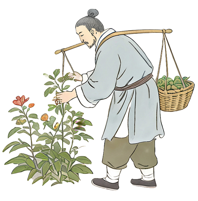 清晰