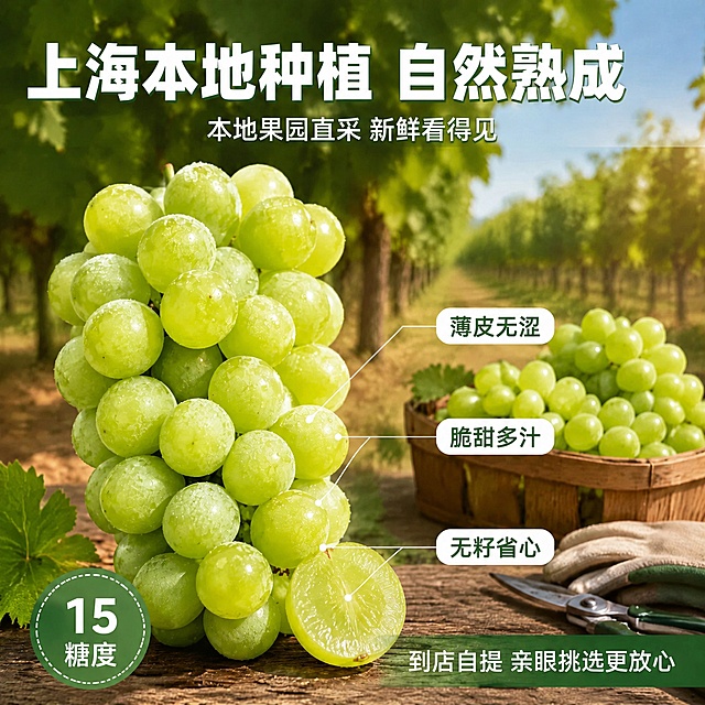 在保持原图整体构图、青提产品外观、背景葡萄园场景、光影风格、所有其他文字内容和版式完全不变的基础上，仅修改两处文字：1. 将顶部大标题的"核心产区 自然熟成"修改为"上海本地种植 自然熟成"，字体样式、大小、颜色、位置保持与原标题一致；2. 将左下角绿色圆形徽章内的"20°+ 甜度"修改为"15糖度"，徽章样式、颜色、大小、位置保持不变，文字排版居中协调。其余画面元素（青提、葡萄叶、木筐、剪刀手套、引线标注、底部文字等）全部保留原样，不得改动。