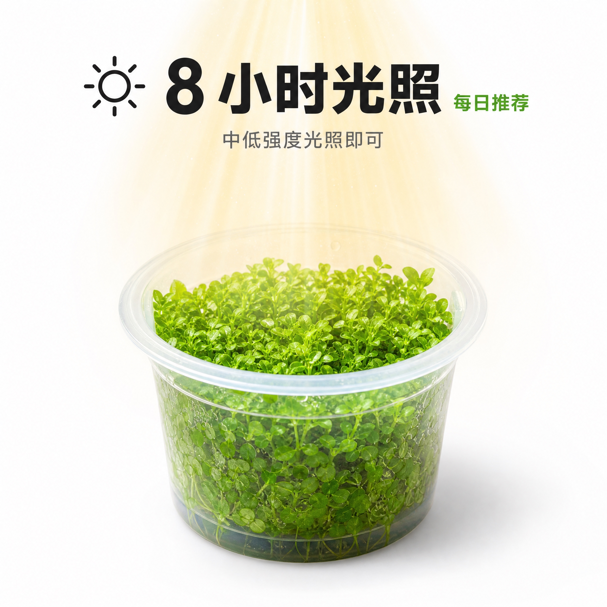 [主图-6] 光照时长参数展示，柔和光束符号设计。 [统一基调… - 图片创意预览