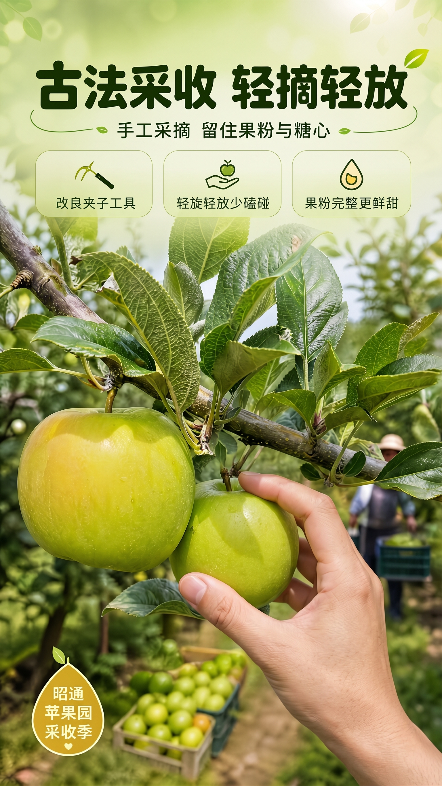 重新生成，改成手去采摘 - 图片创意预览