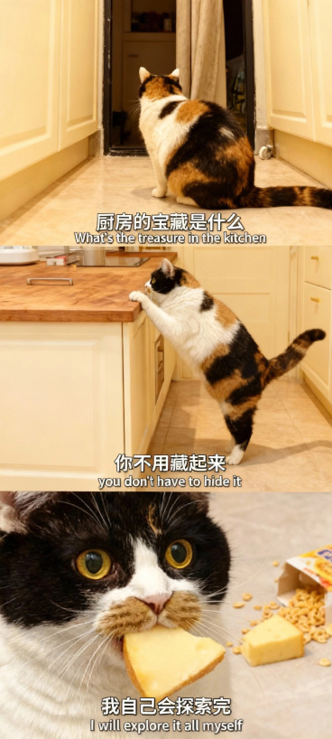 预览效果