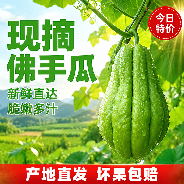 [主图-1] 新鲜佛手瓜首图 现摘现发 拼多多风格大字性价比首图
[氛围风格] 自然清新田园风 原生态产地直发现摘氛围 拼多多风格大字醒目 性价比感强烈
[画质] 商业摄影质感 光线柔和通透 产品清晰真实 画面干净高级 超高清细节
[元素] 画面右侧主体为一颗饱满翠绿的新鲜佛手瓜 挂在藤蔓上 表面带有晶莹水珠 新鲜欲滴 佛手瓜外观（物理结构 材质质感 颜色）与输入产品图保持绝对一致 杜绝任何变形和色差 精细化处理 背景为虚化的绿色瓜田果园 阳光透过叶片洒下斑驳光影 远处隐约可见连绵青山与农田 前景有几片翠绿的佛手瓜叶片作为装饰 商品主体占比约65% 画面满屏无边框
[光影] 自然暖阳逆光 从右上方斜射 穿过叶片形成丁达尔效应 佛手瓜表面有柔和高光 水珠晶莹反光 整体色调清新翠绿 通透不灰蒙 暗部有层次 无廉价HDR
[配色] 主色清新翠绿（佛手瓜） 辅色阳光暖金 叶片深绿 背景浅绿虚化
[视角构图] 平视略微仰视 佛手瓜位于画面右侧黄金分割位 前中后景分层 景深较大 背景虚化突出主体 轮廓完整不裁切
[文字版式] 左侧负空间左对齐留安全边距 大字主文案 现摘佛手瓜 翠绿色超大号粗体无衬线字 占左侧视觉重心 下方辅助文案 新鲜直达 脆嫩多汁 约半高 同色略浅 底部通栏红色渐变蒙层 两端留空 中间大字 产地直发 坏果包赔 白色粗体 右上角红色圆形标签 今日特价 白色小字 文字清晰可读 不遮挡主体
[输出要求] 1:1比例 文字清晰锐利 超高清商业摄影质感
[负向提示词] 变形 文字错乱 产品图模糊 背景杂乱 水印 电商平台Logo 多余的手 畸形手 人物面部扭曲