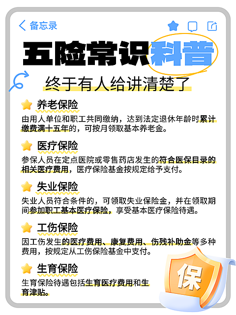 扁平手帐风五险常识科普知识分享小红书配图