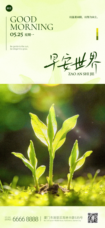 早安日签励志正能量问候祝福绿色系文艺简约风朋友圈海报预览效果