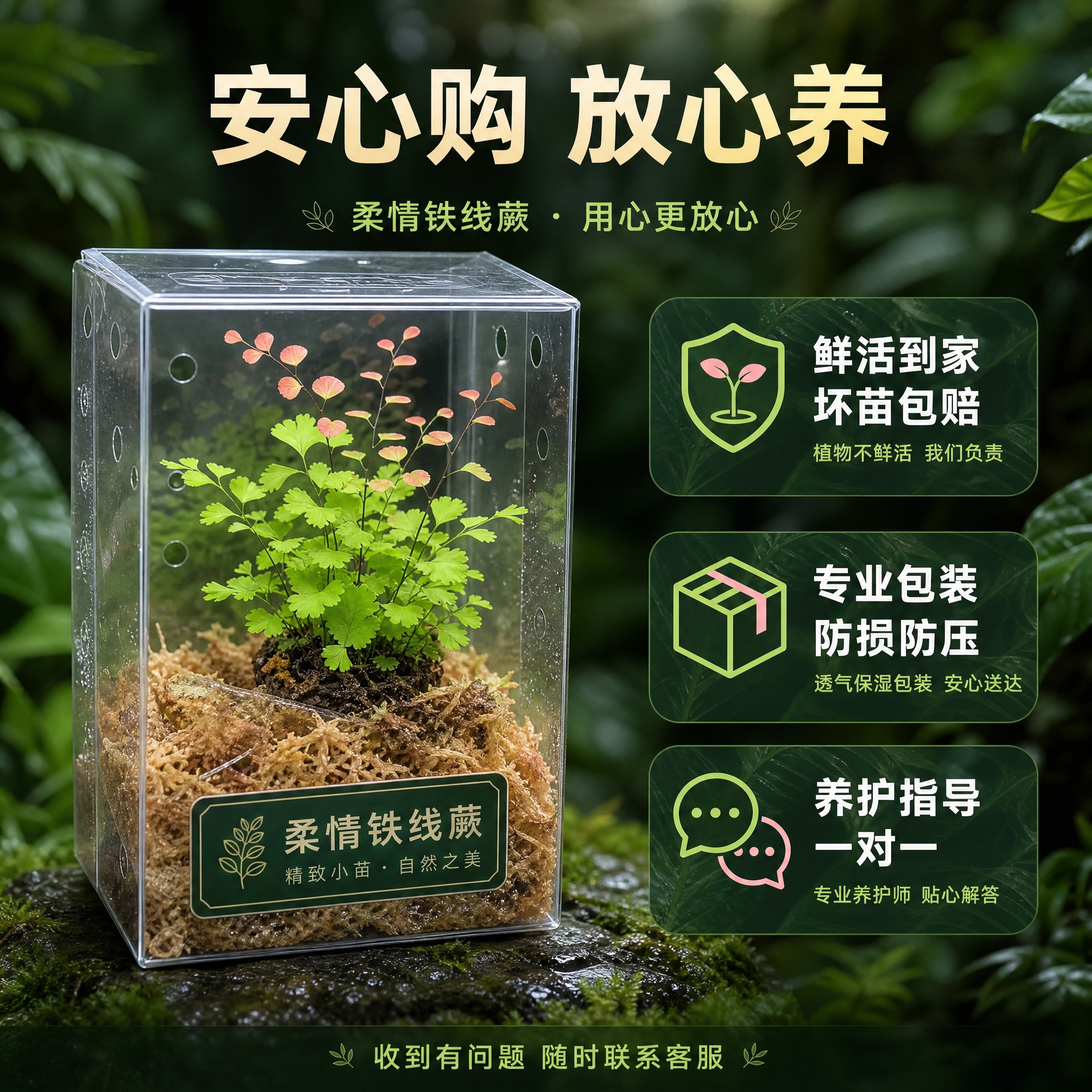 [主图-10] 包装与售后保障（决策转化）。 [统一基调] 热… - 图片创意预览