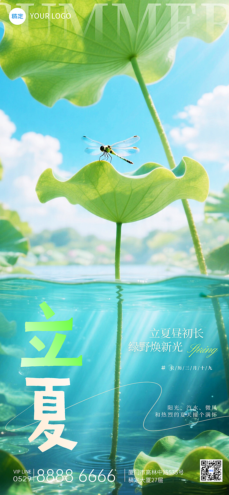 立夏节气海报荷叶宣传全屏