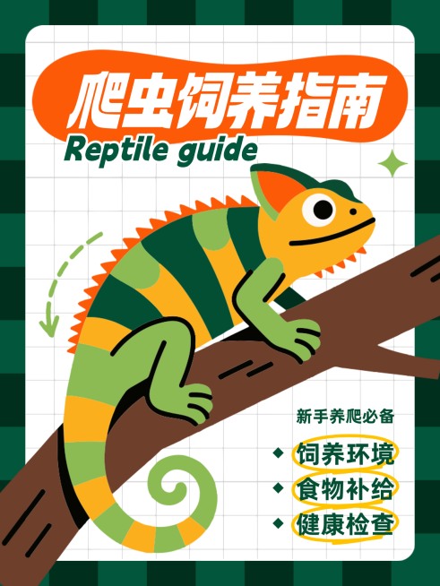 爬虫饲养指南预览效果