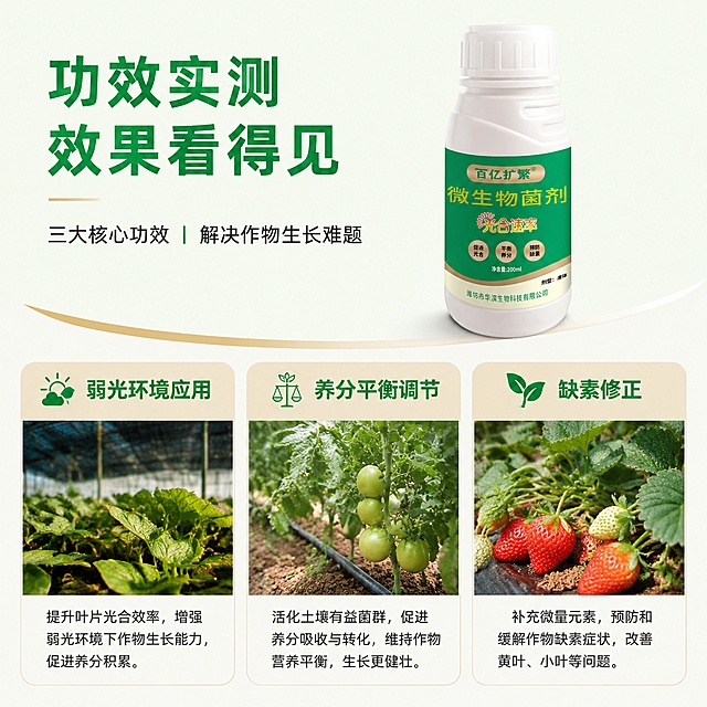 [第5屏] 功效实测，展示各功效对应解决场景。本屏使用【图1】产品图。
[氛围/风格] 实景展示，真实可信，分场景展示功效价值。
[元素布局] 顶部产品主图放小版，下方分三格展示不同使用场景：弱光环境应用、养分平衡调节、缺素修正，每个场景配田间小图和功效说明。保留产品包装和颜色与原图一致。
[光影质感] 每个场景区块均匀打光，产品清晰突出，场景图片自然真实。
[配色色系] 全局底色 #f2f9f0；主色绿色 #009933；辅助色浅褐色区块分隔，米白色背景。
[视角构图] 上产品下三宫格场景，网格排版，信息清晰。
[文字版式] 每个场景区块顶部是功效名称，下方简短说明应用价值，绿色标题，灰色说明文字，每个区块文字清晰可读。
[比例分辨率] 1:1正方形比例，4K分辨率，文字清晰可辨，高清画质。
[负向提示词] 产品变形，文字错乱，场景图片模糊，排版拥挤。