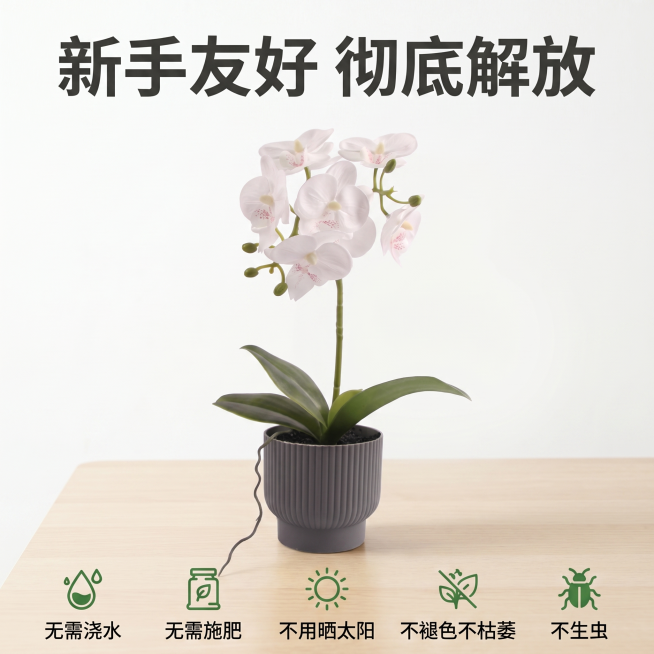 [主图 6] 免养护痛点解决展示。
[氛围风格] 直白清晰，解决养花痛点，轻松氛围感；
[画质] 高清商业摄影，画面清晰干净，信息传递直观。
[元素] 蝴蝶兰盆栽放置在干净浅木色桌面，背景留白简洁，产预览效果