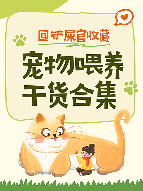 萌宠宠物喂养干货合集可爱卡通插画风小红书封面