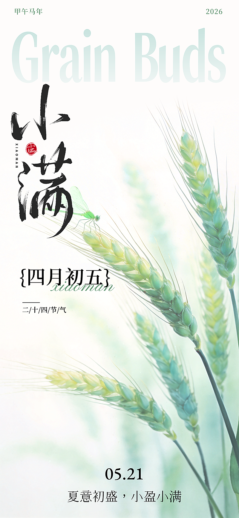小满节气二十四节气节气祝福全屏竖版海报