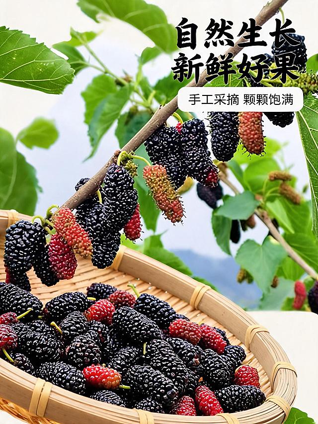 「图片1」「图片1」「图片1」「图片1」「图片1」「图片1」「图片1」电商详情页分块海报，商业精修质感，高端养生桑葚酒主题，国风简约高级感，暖调柔和光影，画面干净留白充足，预留文案排版区域，无乱码文字，750px 宽电商尺寸，主色调：酒红 + 酱紫 + 鎏金 + 自然森绿，质感通透高级：
1. 首屏主视觉 Banner
全局风格 + 首屏主视觉，画面中心并排摆放两瓶桑葚酒，左侧红色翻盖礼盒 + 红瓶（那庄妍），右侧紫色翻盖礼盒 + 紫瓶（那千红），瓶身玻璃光泽精致，背景是朦胧广西喀斯特山水与桑园绿意，顶部预留大标题排版位，底部大面积留白，大气高端礼盒质感，商业摄影级立体打光