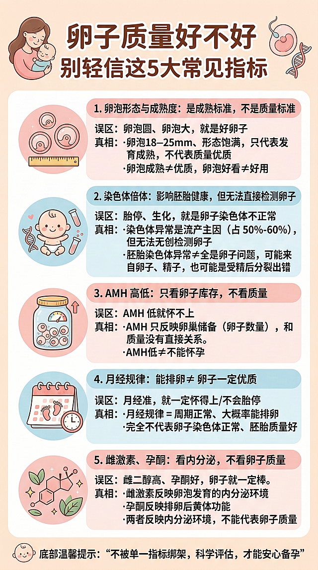 母婴温馨风格海报，顶部大标题为"卵子质量好不好 别轻信这5大常见指标"，下方分5个板块依次呈现文案内容：1. 卵泡形态与成熟度：是成熟标准，不是质量标准，误区：卵泡圆、卵泡大，就是好卵子，真相：·卵泡18–25mm、形态饱满，只代表发育成熟，不代表质量优质·卵泡成熟≠优质，卵泡好看≠好用。2. 染色体倍体：影响胚胎健康，但无法直接检测卵子，误区：胎停、生化，就是卵子染色体不正常，真相：·染色体异常是流产主因（占 50%–60%），但无法无创检测卵子·胚胎染色体异常≠全是卵子问题，可能来自卵子、精子，也可能是受精后分裂出错。3. AMH 高低：只看卵子库存，不看质量，误区：AMH 低就怀不上，真相：·AMH 只反映卵巢储备（卵子数量），和质量没有直接关系。·AMH低≠不能怀孕。4. 月经规律：能排卵 ≠ 卵子一定优质，误区：月经准，就一定怀得上/不会胎停，真相：·月经规律 = 周期正常、大概率能排卵·完全不代表卵子染色体正常、胚胎质量好。5. 雌激素、孕酮：看内分泌，不看卵子质量，误区：雌二醇高、孕酮好，卵子就一定棒。真相：·雌激素反映卵泡发育的内分泌环境·孕酮反映排卵后黄体功能·两者反映内分泌环境，不能代表卵子质量。底部温馨提示："不被单一指标绑架，科学评估，才能安心备孕"，每个板块搭配柔和可爱的母婴风格小图标，整体配色采用浅粉、浅蓝、米白等柔和温馨的母婴色系，排版清晰规整，文字准确无误，参考给定的准爸备孕海报的板块式排版
