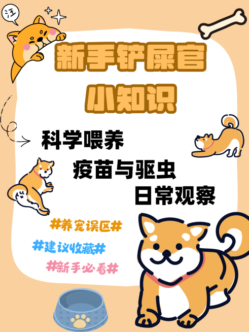 未命名(20)预览效果