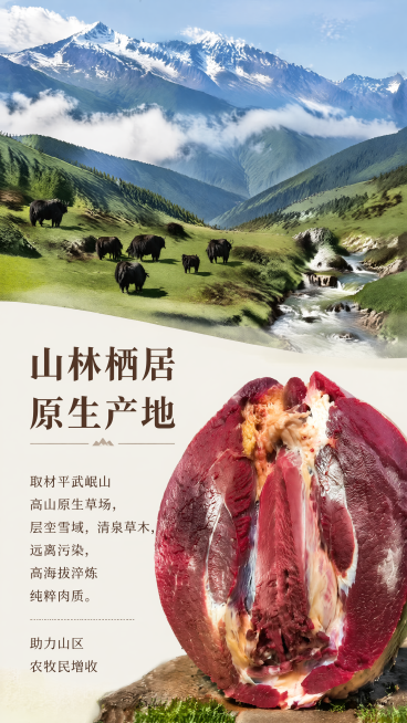 [第2屏] 产地环境篇，介绍平武岷山高山原生草场产地优势。本屏使用【图6】展示高山牦牛肉原生质感。
[氛围/风格] 自然生态氛围感，高端户外摄影质感，突出产地纯净洁净生态优势。
[元素布局] 上方放置预览效果
