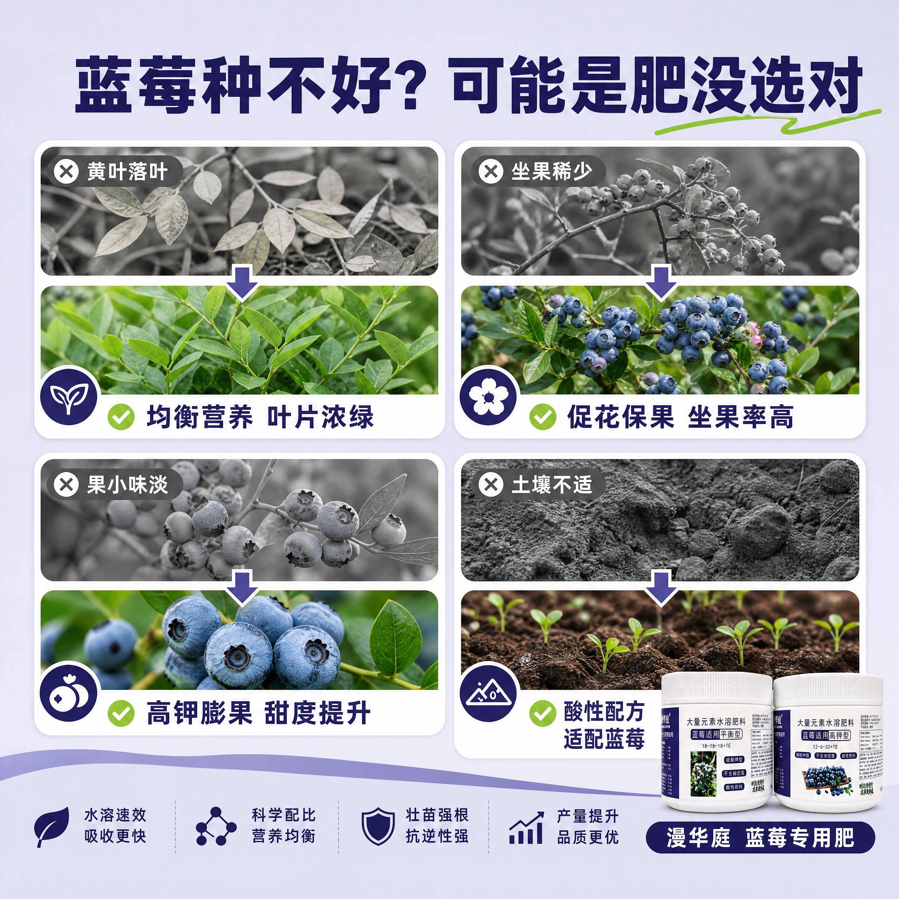 [商品] 使用【图3】漫华庭蓝莓专用水溶肥料双瓶全家福；保留白… - 图片创意预览