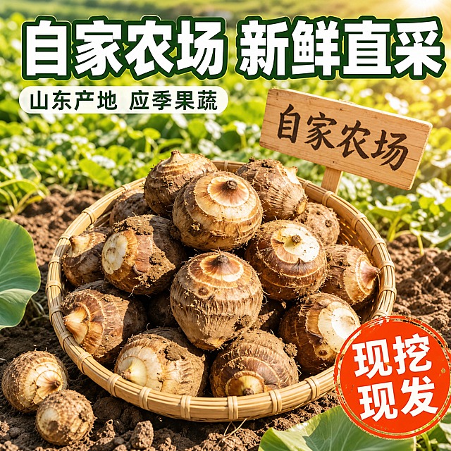 [主图-2] 产地溯源 自家农场 新鲜直采 信任背书。
[统一基调] 拼多多风格 大字直白 高性价比 暖色调 食欲感强 背景为农场田园实景 主标题用粗黑体大字 白色字配深绿描边 强调色为橙红色 辅助文案用清爽黑体 整体饱满热闹 信息直接。
[画面] 画面主体为一竹篮刚从地里挖出的山东奶芋头 芋头带泥土 表皮棕褐带根须 顶部切面露出白色肉质 竹篮放在田间泥土上 背景是虚化的绿色芋头叶田地 远处有木牌写"自家农场" 阳光从右上方洒下 形成自然光斑 主体占画面约60% 竹篮旁散落2-3个小芋头和几片芋头叶 增加真实感。
[光影质感] 自然田园阳光 上午暖阳 光线柔和 芋头表面泥土颗粒清晰 竹篮编织纹理真实 背景田地虚化 突出前景产品 整体真实农场实拍质感。
[配色] 背景绿色田地与棕色泥土 芋头棕褐与奶白 竹篮浅棕色 标题白色配深绿描边 强调字橙红色 整体自然清新 产地感强。
[文字版式] 画面顶部通栏大标题"自家农场 新鲜直采" 粗黑体 白色字深绿描边 字号大 占顶部1/5高度 标题下方一行小字"山东产地 应季果蔬" 绿色 画面右下角加一个橙红色印章式圆标"现挖现发" 圆标内白色字 文字不遮挡竹篮主体。
[输出要求] 1:1正方形 2048px 文字清晰可读 产品清晰真实 无变形 无错字 无水印 无平台Logo 无多余杂物 禁止出现极限词。