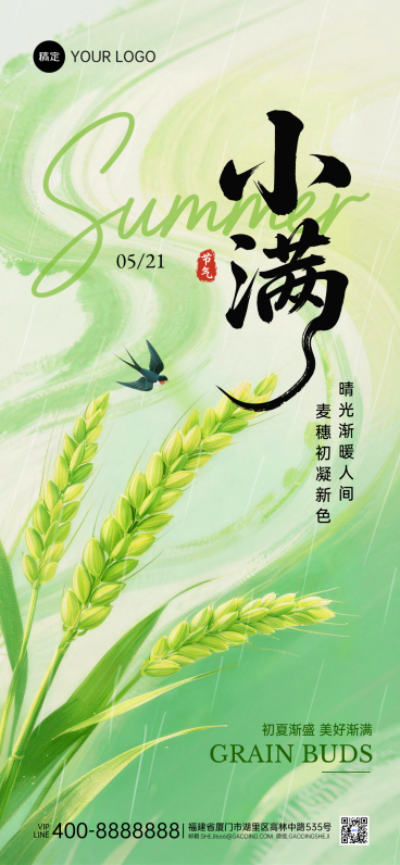 小满节气祝福稻穗弥散风全屏手机海报预览效果