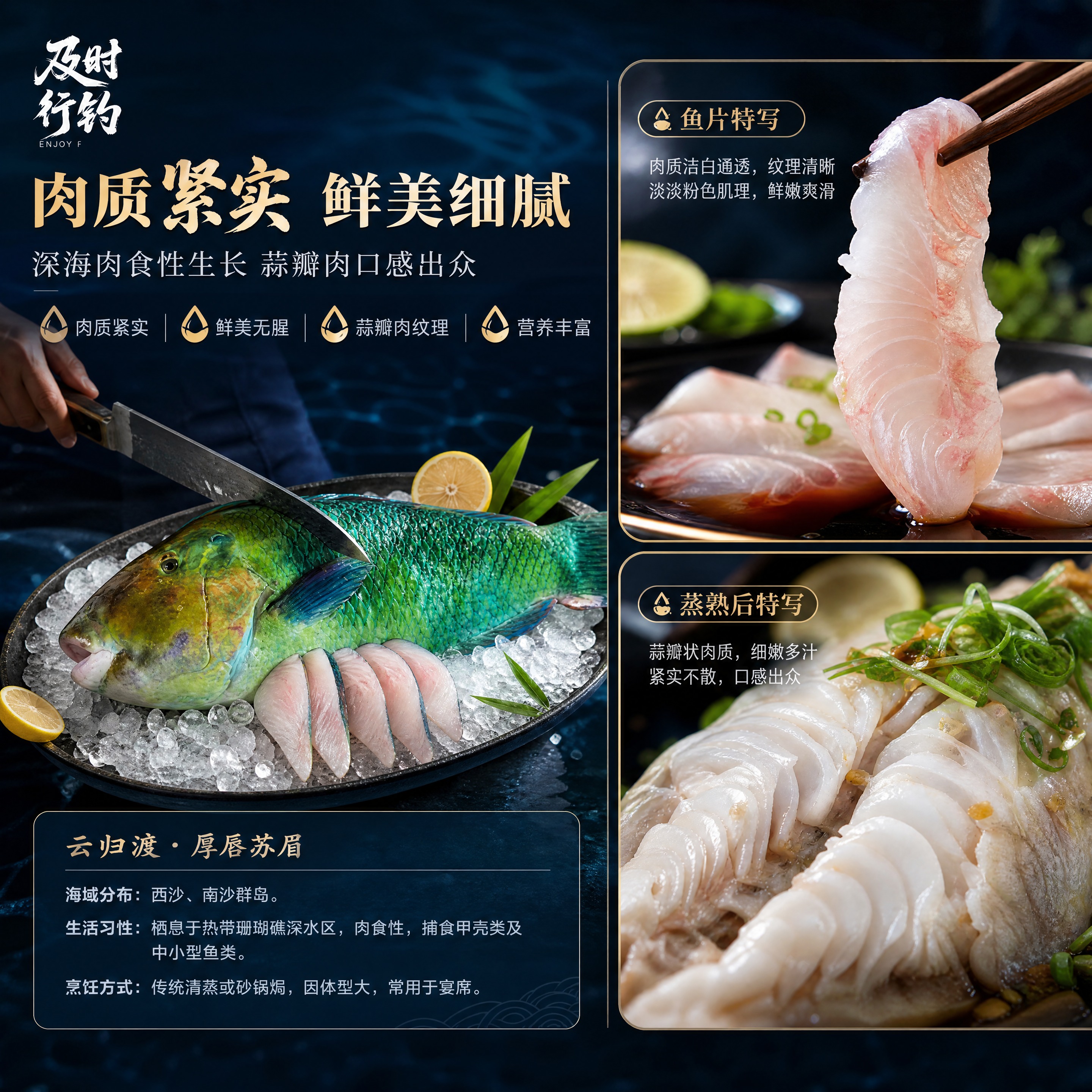 [商品] 使用【图1】厚唇苏眉鱼产品图；保留鱼身绿蓝鳞片、厚唇… - 图片创意预览