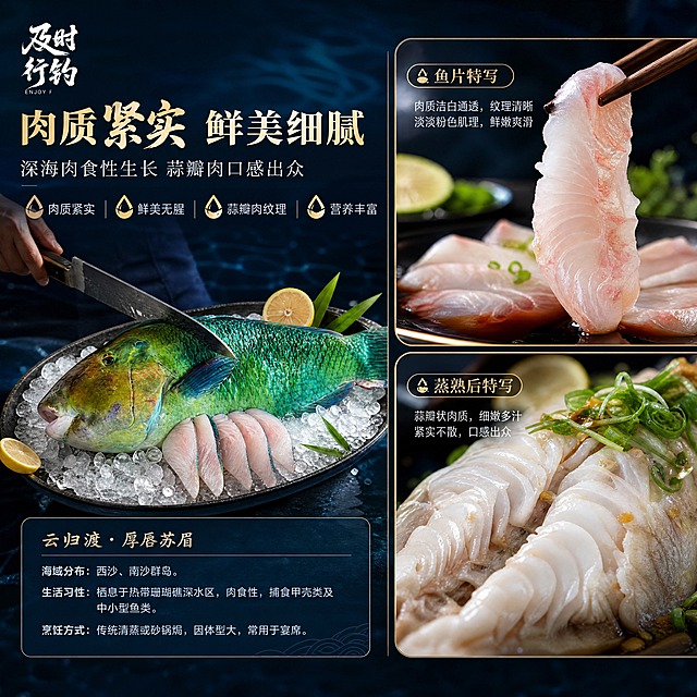 [商品] 使用【图1】厚唇苏眉鱼产品图；保留鱼身绿蓝鳞片、厚唇特征及品牌文字标识；商品处理：展示鱼肉切面质感，鱼肉洁白紧实带肌理，保留完整鱼身同时局部放大肉质细节。
[画面] 页面目标为肉质与口感展示，突出厚唇苏眉鱼的紧实鲜美肉质；左右分栏构图，左侧为整鱼展示占45%，右侧为鱼肉特写占55%；右侧上方为生鱼片特写（肉质洁白通透、纹理清晰、带淡淡粉色肌理），下方为蒸熟后鱼肉特写（蒜瓣状肉质、细嫩多汁）；左侧整鱼置于冰盘上，配刀具与切配动作示意；前景有柠檬汁滴落与葱花点缀，中景为鱼肉细节，后景为深蓝渐变厨房台面；产品与鱼肉细节合计占画面约75%。
[视觉] 套系策略：风格=高端深海宴席生鲜商业摄影风；标题字=苍劲书法体+现代衬线粗体组合；正文字=简洁无衬线体；主色=深海墨蓝+翡翠绿；背景延展=基于深海墨蓝做深浅渐变、暗纹水波纹质感与同色系层次；强调色=香槟金，仅用于小面积图标、引线、标签和分割线点缀；标题色=香槟金+白色；正文色=浅灰蓝；组件=圆角半透明深色信息卡、细金线引线、水滴形图标；光影=暖调侧光突出鱼肉纹理质感+冷调环境光保持新鲜度。
[文字] 主标题"肉质紧实 鲜美细腻"（8字），副标题"深海肉食性生长 蒜瓣肉口感出众"；配4个口感标签：「肉质紧实」「鲜美无腥」「蒜瓣肉纹理」「营养丰富」；文字分置于左右两区上方，全部横排，不遮挡鱼肉主体细节。
[规格] 图片比例1:1正方形，4K分辨率，负向提示：避免变形、错字、文字过小、鱼肉颜色失真、虚假营养承诺、绝对化用语、第三方平台Logo。