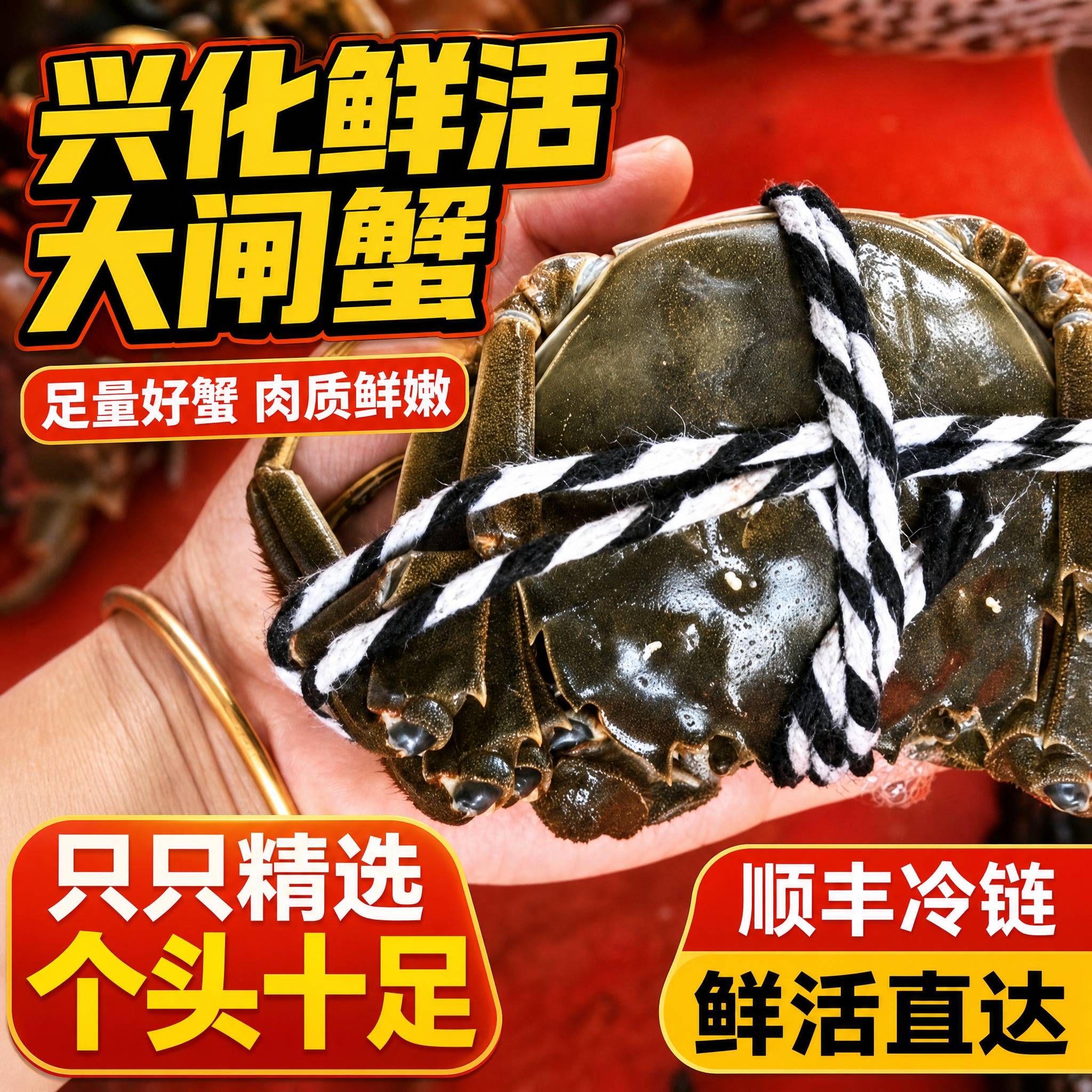 [主图-1] 兴化鲜活大闸蟹首图 手持展示大个头 突出足量好蟹… - 图片创意预览