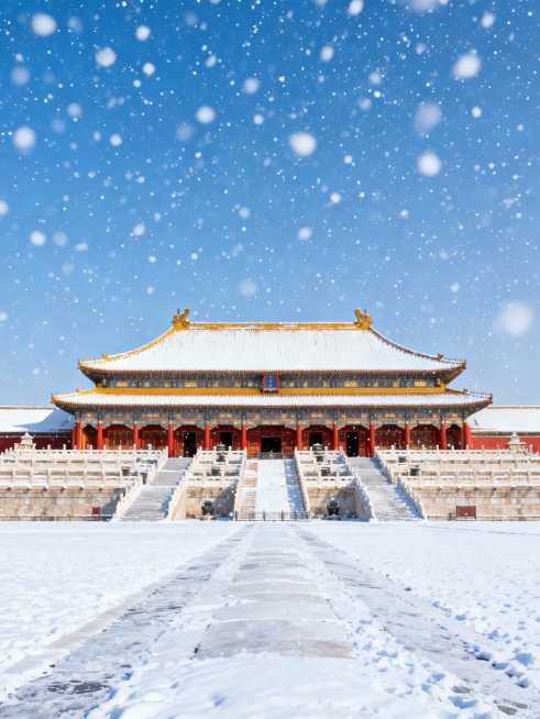 生成故宫下雪了的10张小红书配图和1张封面图，结合文案：落雪紫禁城｜北京初雪已至，故宫又美成了千年前的模样
文案
北京终于下雪啦❄️当雪花落在故宫的檐角、红墙、汉白玉台基上，朱红与雪白撞出的，是独属于预览效果